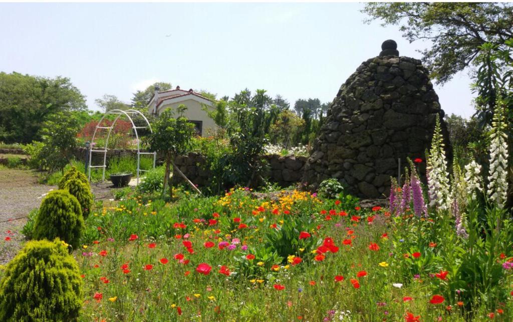 Baghdad House Villa เมืองเชจู ภายนอก รูปภาพ