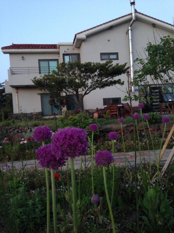 Baghdad House Villa เมืองเชจู ภายนอก รูปภาพ