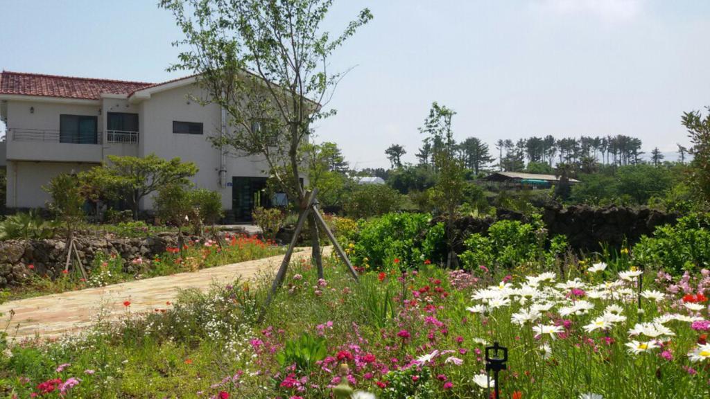Baghdad House Villa เมืองเชจู ภายนอก รูปภาพ