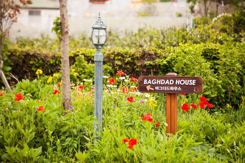 Baghdad House Villa เมืองเชจู ภายนอก รูปภาพ